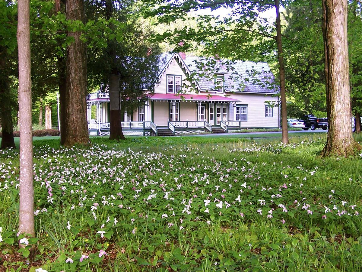Dreamhouse Country Inn Bristol Esterno foto